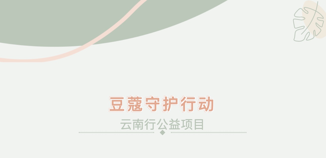 华亚公益｜豆蔻守护行动——云南行公益项目