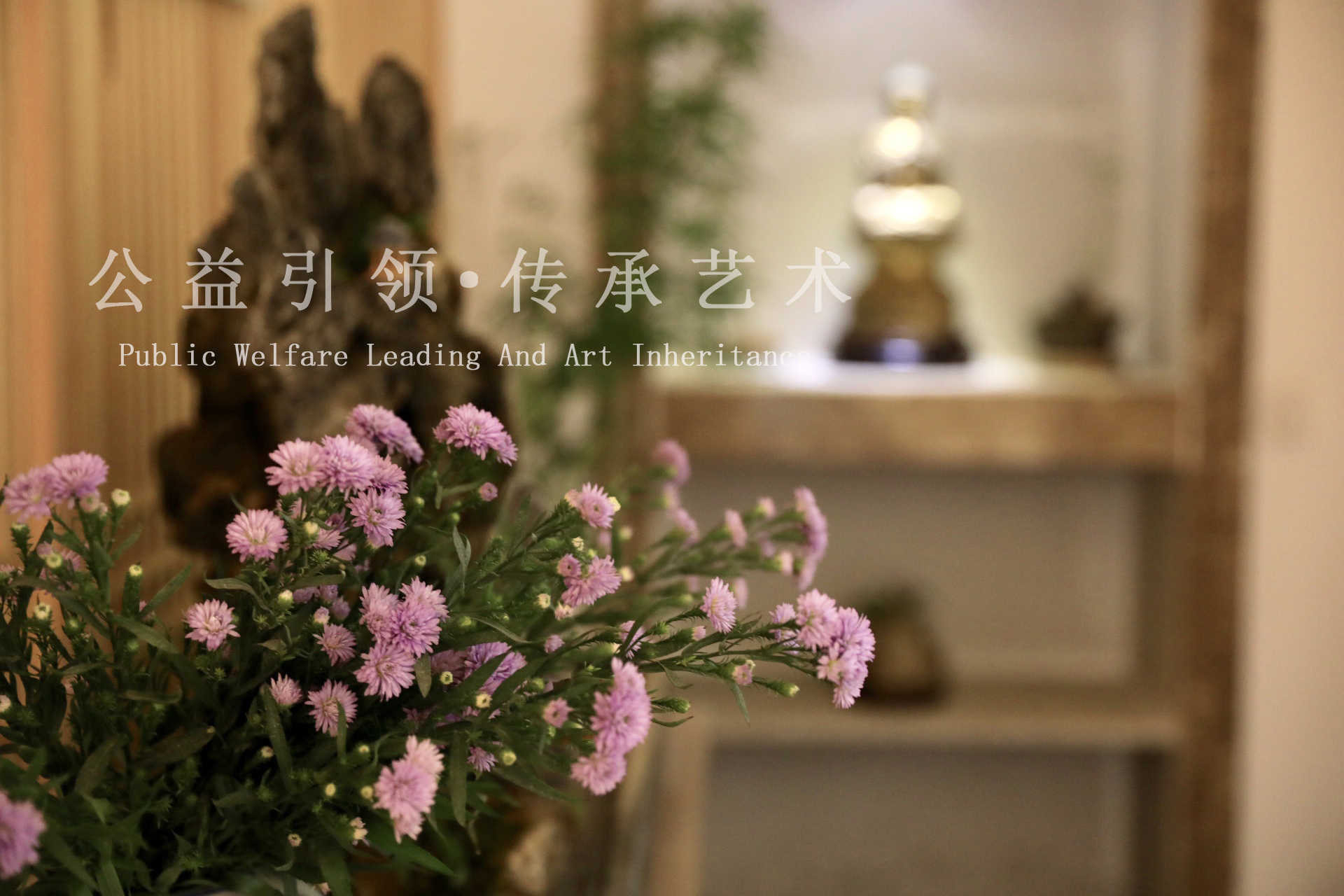 华亚展示图