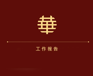 2017年度工作报告