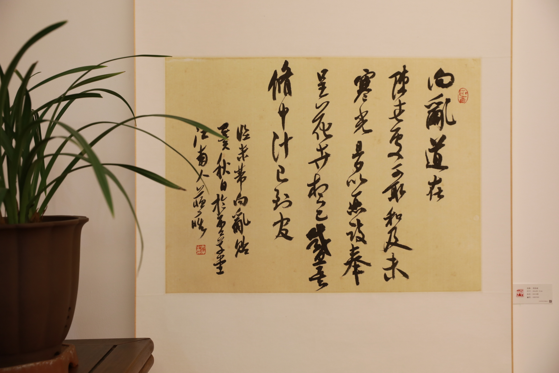 “初心——苏痴书法习作展”在京亮相