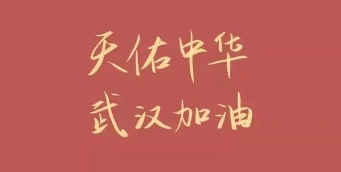 华亚公益 | 陶斯亮：为你骄傲，我的大武汉