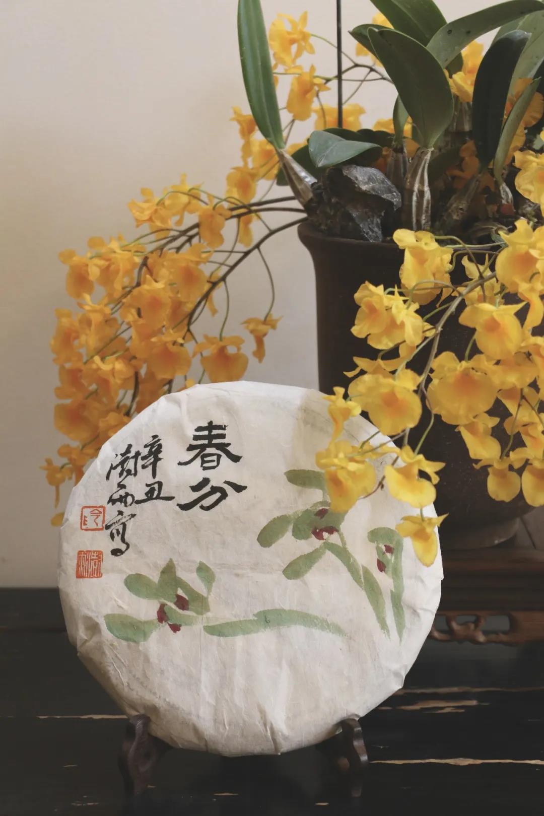 春分时节，自然万物的生机与天人之际的默契